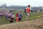 Senior Men's start, North East Harrier League, Wrekerton, Gateshead.